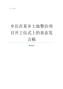 乡长在某乡土地整治项目开工仪式上的表态发言稿乡书记和乡长