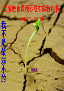 《我不是最弱小的》课件