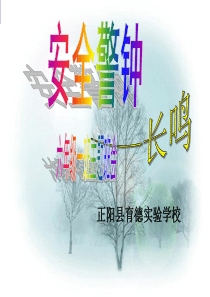 育德实验学校六一班校园安全主题班会PPT