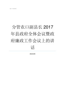 分管农口副县长2017年县政府全体会议暨政府廉政工作会议上的讲话分管什么副县长有实权