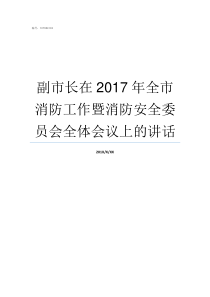 副市长在2017年全市消防工作暨消防安全委员会全体会议上的讲话2017年南安副市长名单