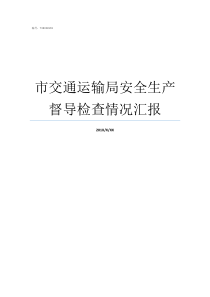 市交通运输局安全生产督导检查情况汇报