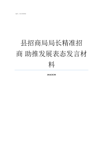 县招商局局长精准招商nbsp助推发展表态发言材料