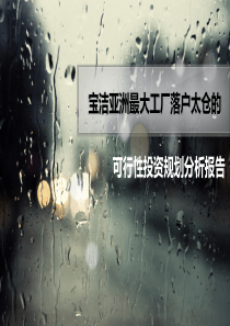可行性投资报告分析
