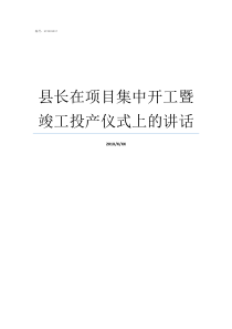 县长在项目集中开工暨竣工投产仪式上的讲话投产仪式流程