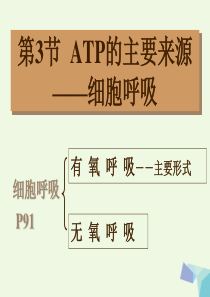 高中生物第五章细胞的能量供应和利用第3节ATP的主要来源__细胞呼吸第1课时课件