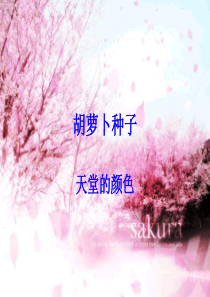 胡萝卜种子__绘本赏析