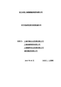 可行性研究报告