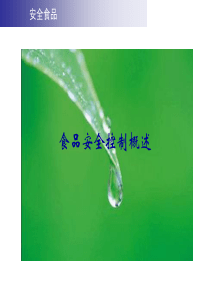 食品安全控制概述