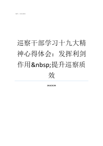 巡察干部学习十九大精神心得体会发挥利剑作用nbsp提升巡察质效