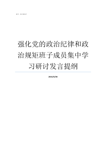 强化党的政治纪律和政治规矩班子成员集中学习研讨发言提纲如何严明党的政治纪律