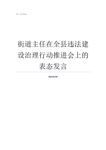 街道主任在全县违法建设治理行动推进会上的表态发言街道办主任