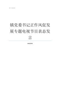 镇党委书记正作风促发展专题电视节目表态发言党风促作风
