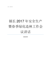 镇长2017年安全生产暨春季绿化造林工作会议讲话2017年全国全年安全事故