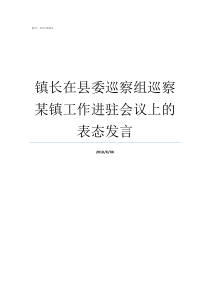 镇长在县委巡察组巡察某镇工作进驻会议上的表态发言县委巡察组