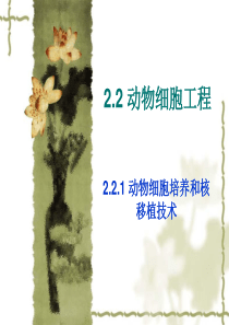 4555kj_动物细胞培养和核移植技术ppt