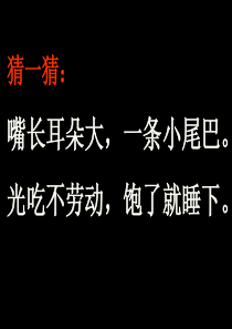绘本故事《小猪变形记》(1)xin