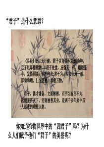 8.梅兰竹菊“四君子”国画-竹子-课件