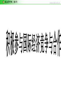 《积极参与国际经济竞争与合作》(新人教版)