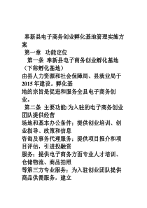 奉新县电商基地管理方案