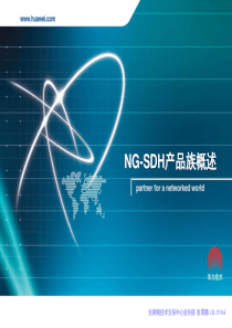 01-NG SDH概述