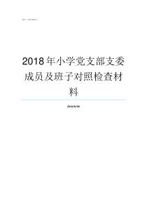 2018年小学党支部支委成员及班子对照检查材料小学党支部2018年党建工作总结