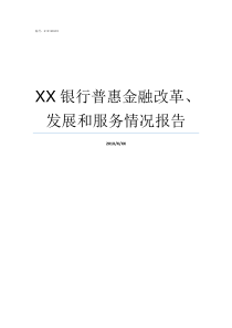 XX银行普惠金融改革发展和服务情况报告