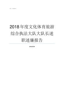 2018年度文化体育旅游综合执法大队大队长述职述廉报告20172018