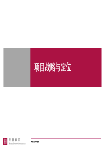 世联项目前期定位报告模板