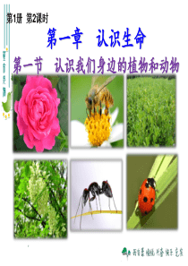 区科技局2016年全面深化改革任务台账进展情况自查报告余杭区科技局