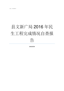 县文新广局2016年民生工程完成情况自查报告文广新局怎么样