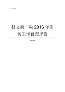 县文新广局2016年消防工作自查报告文广新局怎么样