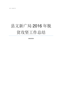 县文新广局2016年脱贫攻坚工作总结文广新局怎么样
