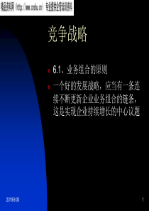 业务组合的竞争战略