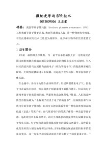 微纳光学与SPR技术