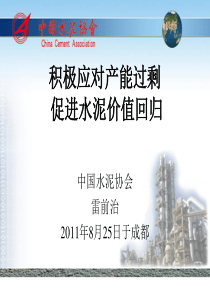 中国水泥协会XXXX年成都讲稿