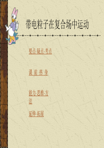 2011高考物理专题复习课件大全：带电粒子在复合场中运动