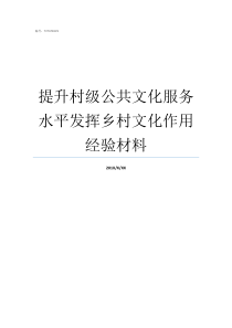 提升村级公共文化服务水平发挥乡村文化作用经验材料提升公共文化服务水平