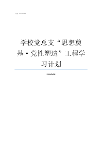 学校党总支思想奠基党性塑造工程学习计划学校党支部