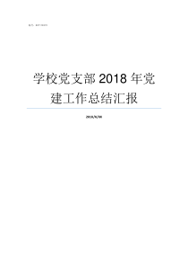 学校党支部2018年党建工作总结汇报