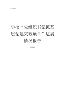 学校党组织书记抓基层党建突破项目进展情况报告