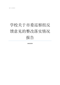 学校关于市委巡察组反馈意见的整改落实情况报告市委巡察组