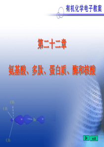有机化学课件第22章-氨基酸、多肽、蛋白质、酶和核酸
