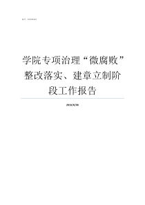 学院专项治理微腐败整改落实建章立制阶段工作报告
