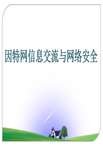 因特网信息交流与网络安全