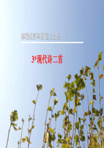 最新部编版四年级语文上册3现代诗二首秋晚的江上-花牛歌优质精品公开课课件