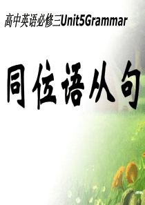 Unit 5 Grammar(同位语从句)课件 新人教必修三