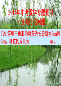 中考数学专题复习～分类讨论