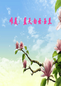 唯美：蓝天・白云・玉兰  ppt模板