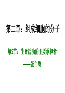 高一生物蛋白质